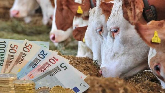 Ajutorul de 73 euro/vacă majorat la 100 euro/vacă!