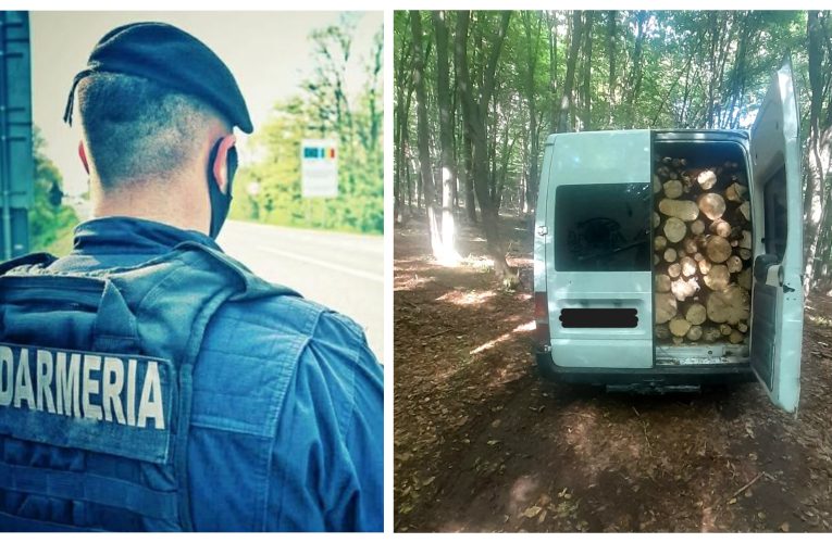 Transport de lemne de foc fără documente legale, în Românași