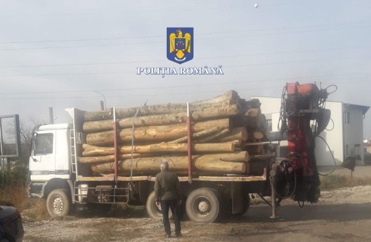 Mijloc de transport și material lemnos confiscate