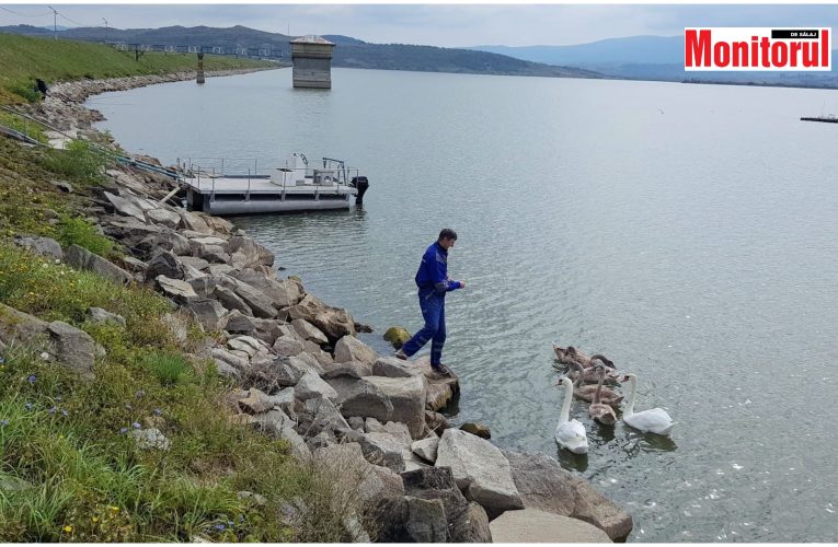 Apele Române a verificat barajul din Vârșolț după cutremurul de marți din Arad