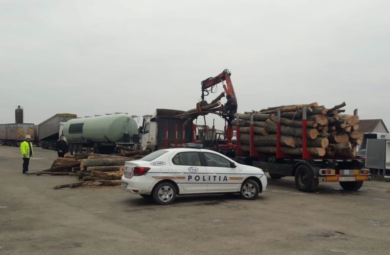 Peste 100 de metri cubi de material lemnos, confiscat de polițiștii sălăjeni
