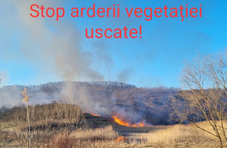 Incendiu de vegetație pe o suprafață de 1 hectar în Camăr
