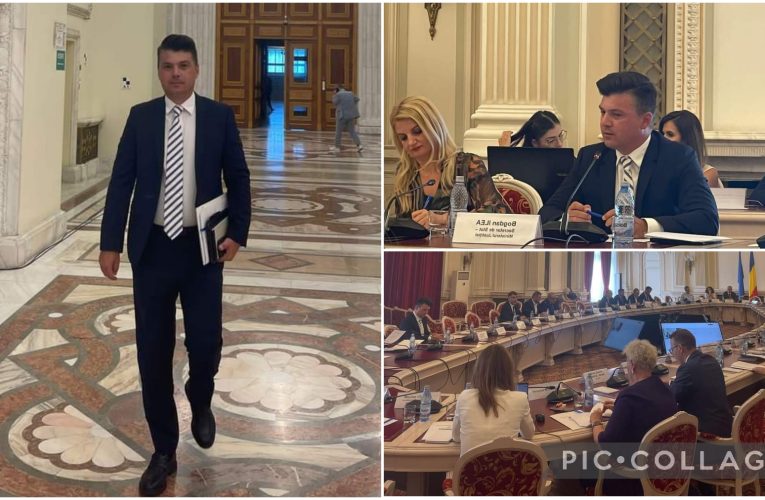 Secretarul de stat Bogdan Ilea a reprezentat Ministerul Justiției la o dezbatere importantă în Senat