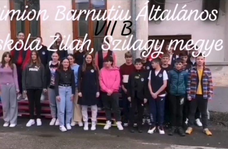 Vocile copiilor din Zalău ascultate în Senatul României