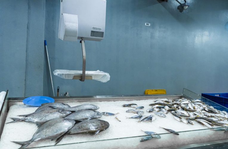 Alertă alimentară la file de pește pangasius. DSVSA Sălaj a retras de pe piață circa 400 kg de pește