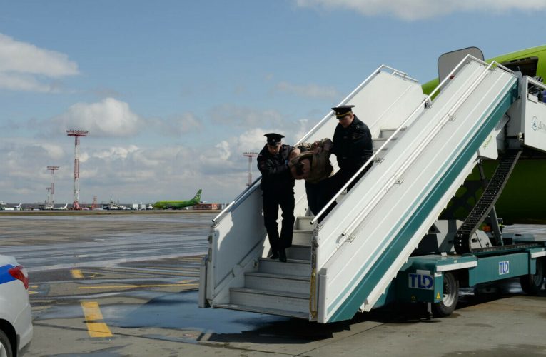 Un sălăjean venit din Anglia, arestat pe Aeroportul Internațional Satu Mare