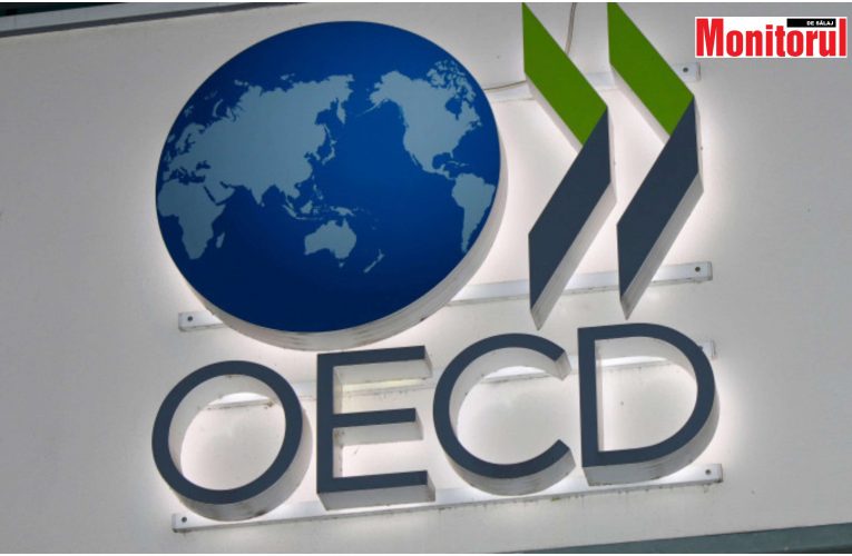România a primit primul Aviz Formal pentru aderarea la OCDE 
