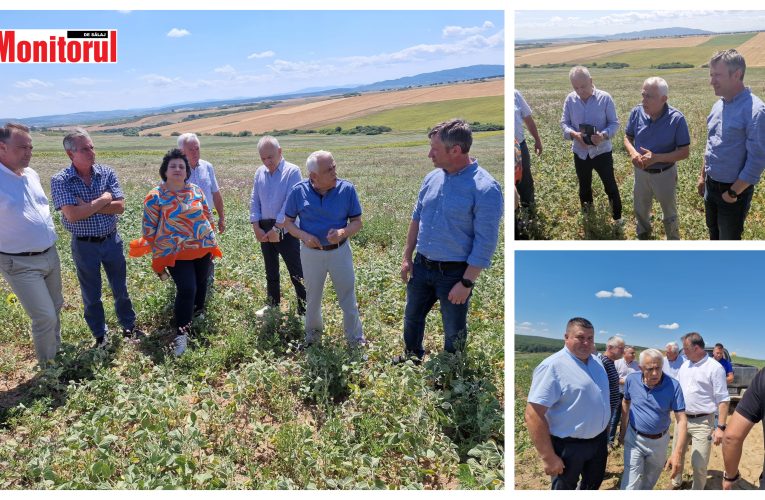 BOBOTA: Primarul Dorin Gorgan i-a prezentat ministrului Agriculturii, Petre Daea, pagubele provocate de secetă