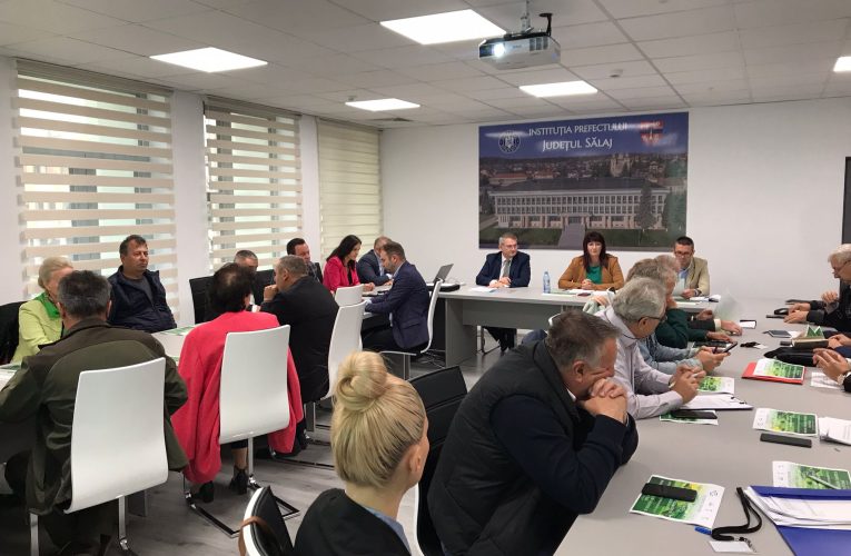 Subprefectul Adriana Sabou a condus şedinţa lunară a Colegiului Prefectural