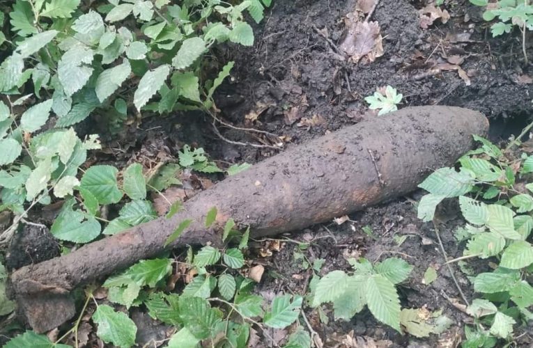 Pompierii au găsit o bombă în pădurea Meseș