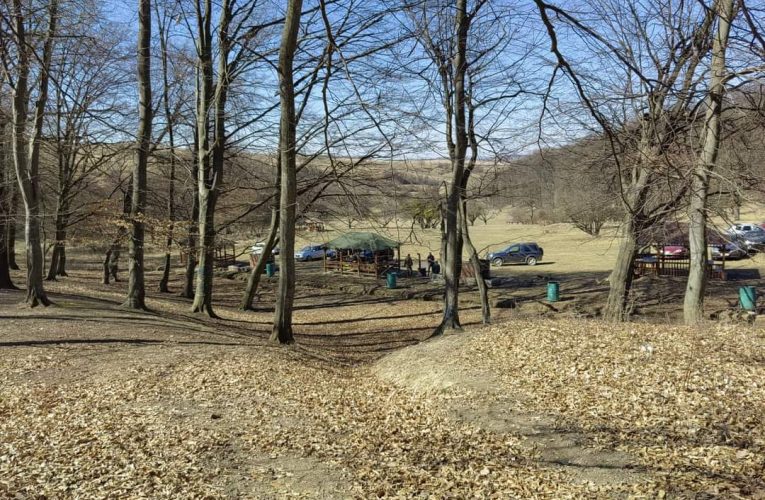 Acțiune de ecologizare organizată de Primăria municipiului Zalău  