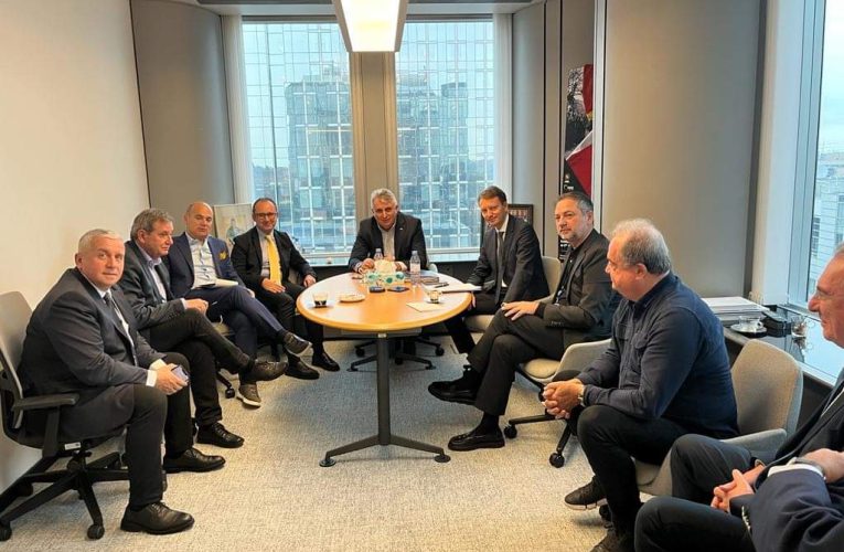 Europarlamentarii PNL au discutat cu ministrul Lucian Bode despre aderarea României la Schengen