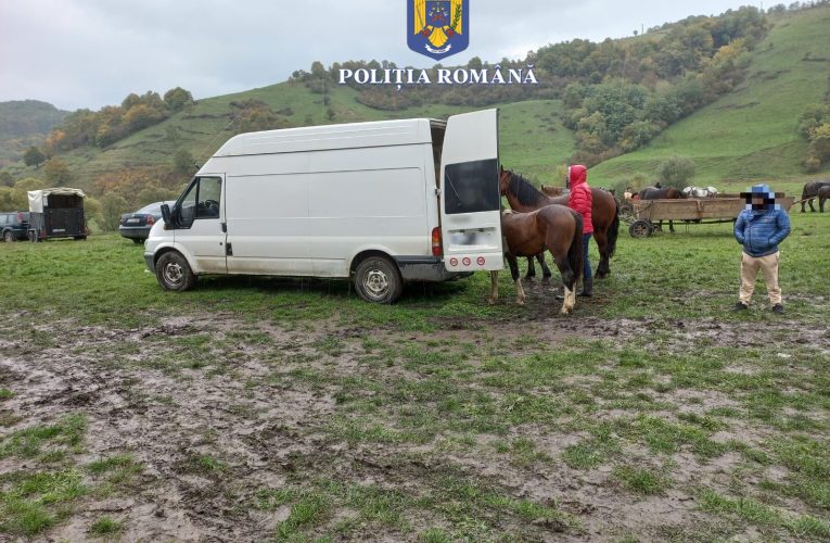 ACȚIUNI ALE POLIȚIȘTILOR DE LA PROTECȚIA ANIMALELOR
