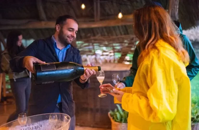 Crama Carastelec a luat medalia de aur la Londra