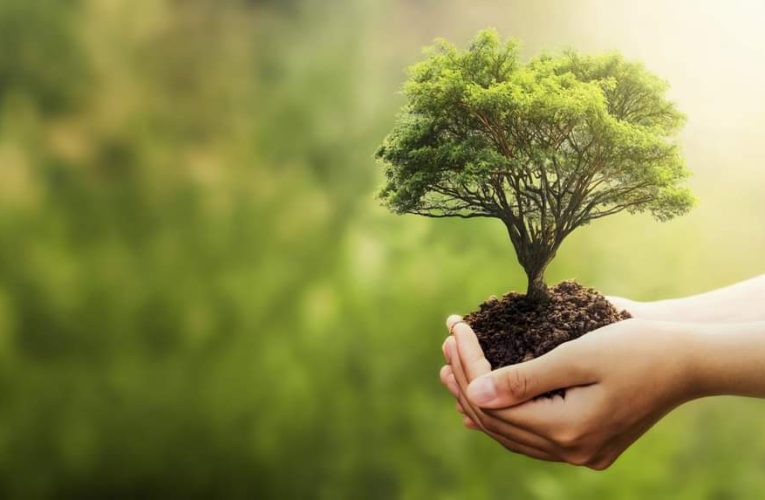 Pentru un oraș curat, te ajutăm la reciclat!