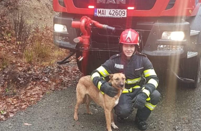 ISU Sălaj: Fiecare viață salvată pentru noi contează!