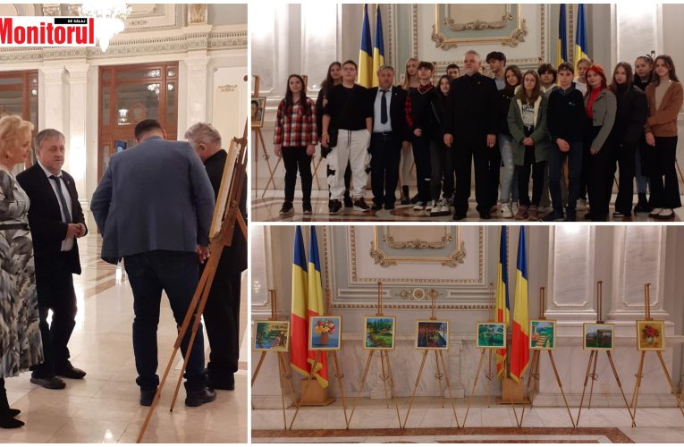 Senatorul USR Bob Virgil a dus în Parlament un grup de artiști din Șimleu Silvaniei
