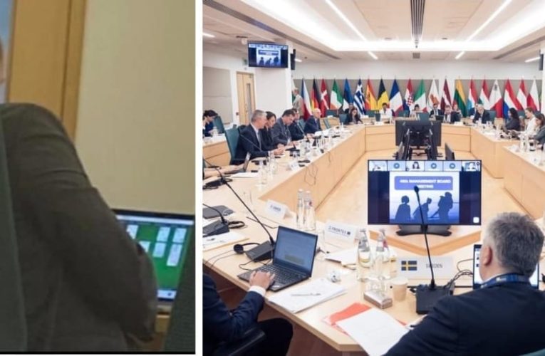 Șeful Inspectoratului General pentru Imigrări a jucat solitaire la o întâlnire la UE