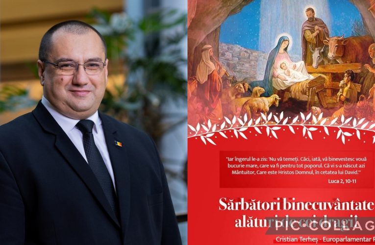 Europarlamentarul Cristian Terheș vă urează Crăciun fericit!
