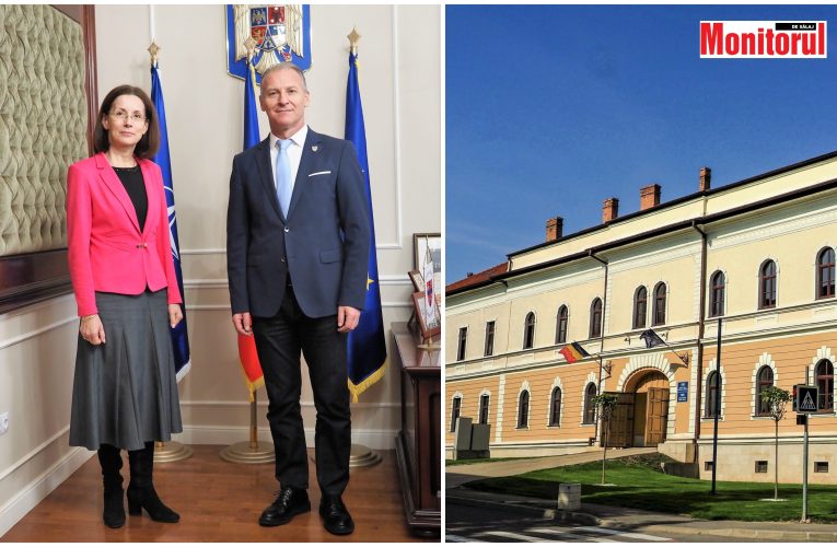 Președintele CJ Sălaj, Dinu Iancu-Sălăjanu, a primit vizita secretarului de stat, Anca-Minodora Costin-Hendea
