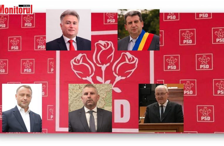 Președintele Camerei Deputaților, Marcel Ciolacu, liderul PSD, vine vineri la Zalău