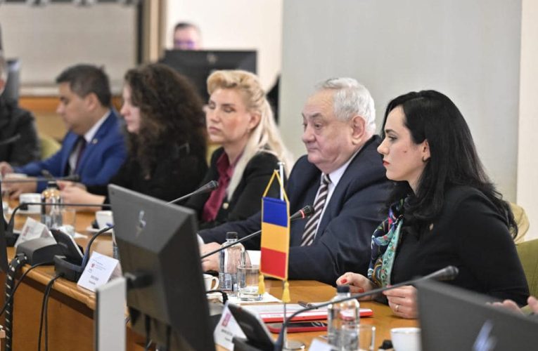 Deputatul Sereș Deneș a primit la Parlament vizita unei delegații oficiale din Republica Polonă