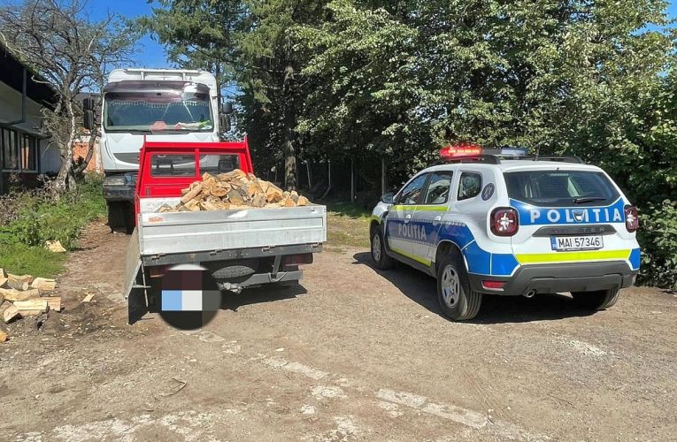 Bărbat din Nușfalău amendat cu 5.000 lei pentru 2 mc de lemne fără aviz de însoțire