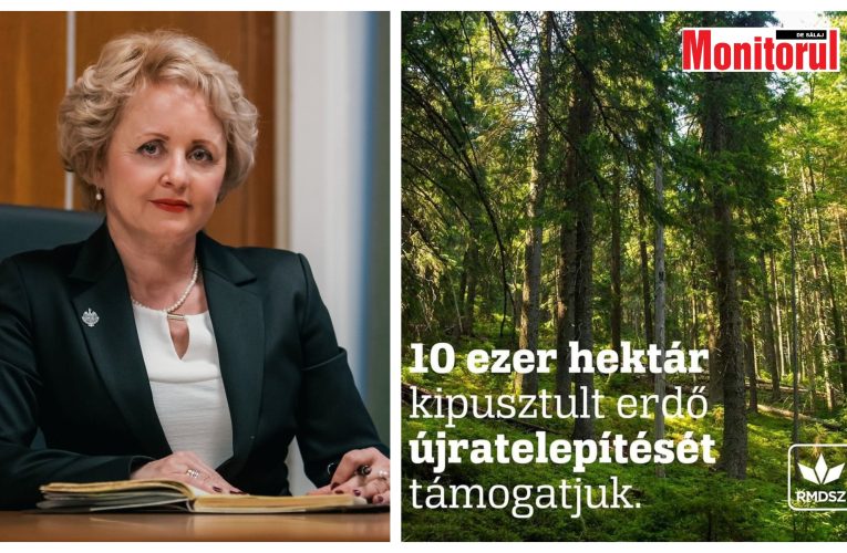 56.700 de hectare vor fi împădurite prin PNRR. Proiectul este susținut și de senatoarea Kovács Irénke