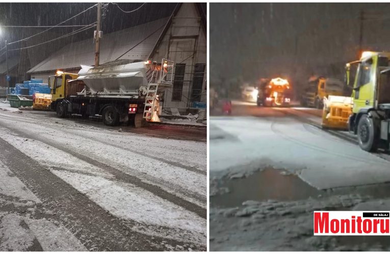Primăria Șimleu Silvaniei a intervenit prompt pentru deszăpezirea orașului