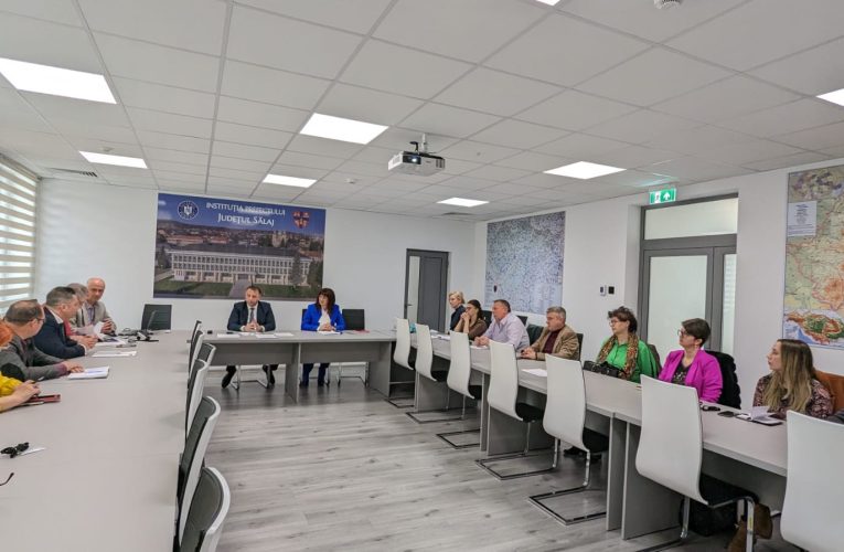 Măsuri pentru stimularea muncii discutate în ședința Comisiei de Dialog Social