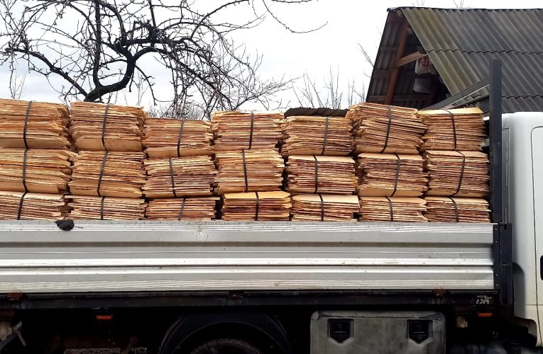 Consiliul Județean a alocat 60.000 lei pentru lucrări de reabilitare la Mănăstirea Bic din Șimleu