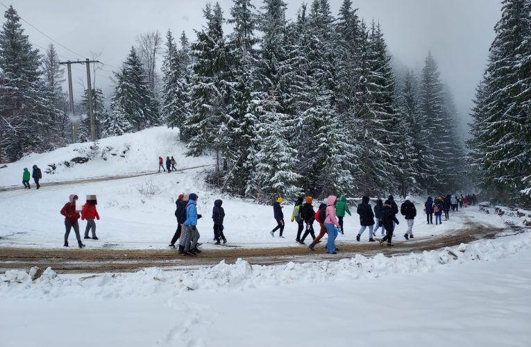 Peste 100 de elevi din Zalău salvați de pe munte de jandarmii montani din Rodna