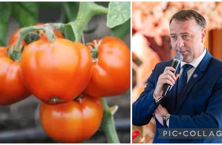 Subprefect Florin Florian: „Tinerii investesc în agricultură”