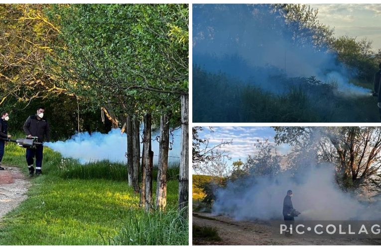 A început acțiunea de DEZINSECȚIE în municipiu