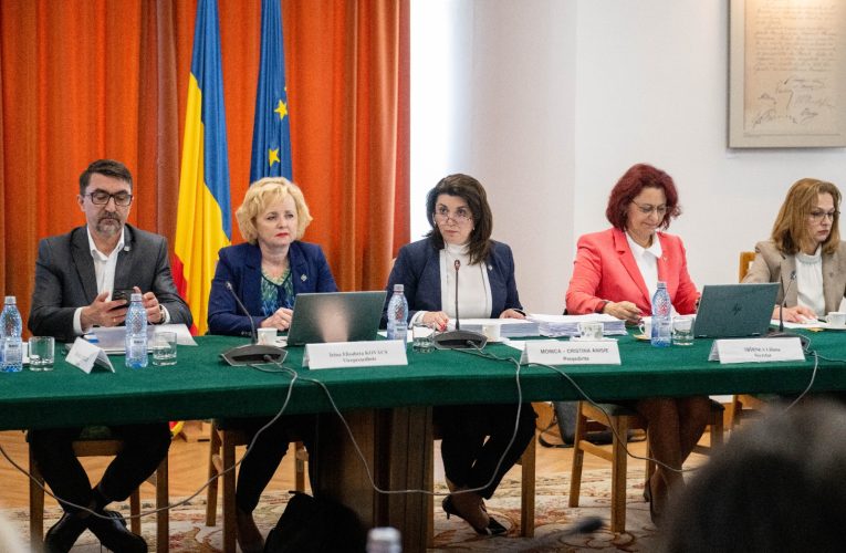 Legile Educației, dezbătute chiar în acest moment în Senat. Vicepreședinte Irina Kovacs: „Vom încerca să le îmbunătățim”
