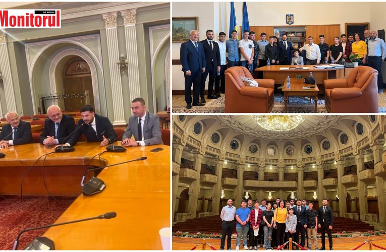Elevi din Jibou în vizită la Parlamentul României