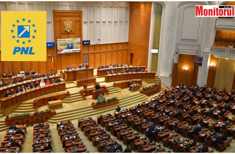 Deputaţii au adoptat proiectul de lege al PNL care vizează stoparea turismului electoral