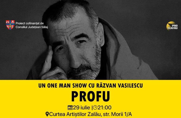 CJ Sălaj împreună cu Asociația Pro Teatru organizează Festivalul Curtea Artiștilor