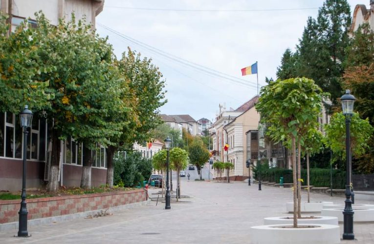 Peste 2.000 de arbori noi plantați de Primăria Zalău în ultimii doi ani