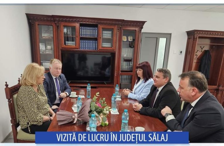 Europarlamentarul Corina Crețu, în vizită de lucru la Instituția Prefectului Judeţul Sălaj