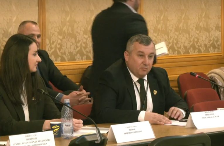VIDEO| Primarul Roșan Ioan a vorbit în Parlamentul României despre importanța absorbției fondurilor europene de către Republica Moldova