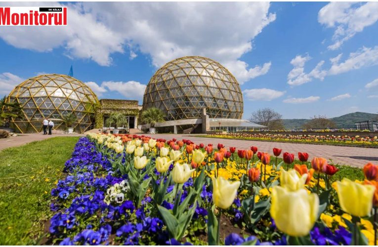 Grădina Botanică din Jibou în TOP-ul celor mai bine cotate grădini botanice la nivel național