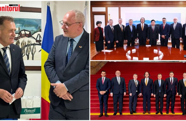 Deputatul PSD Sălaj, dr. Florian Neaga, în vizită oficială Republica Coreea