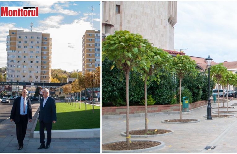 Citadin a început să planteze peste 600 de arbori în tot Zalăul