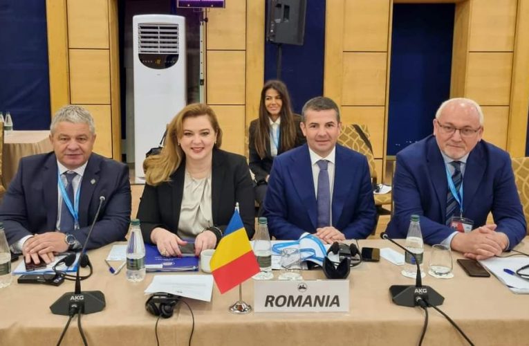 Deputatul PSD Florian Neaga a reprezentat România la APCEMN