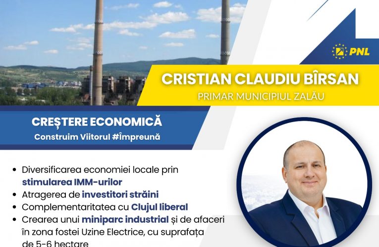 Măsuri liberale  pentru creșterea economică a  Zalăului