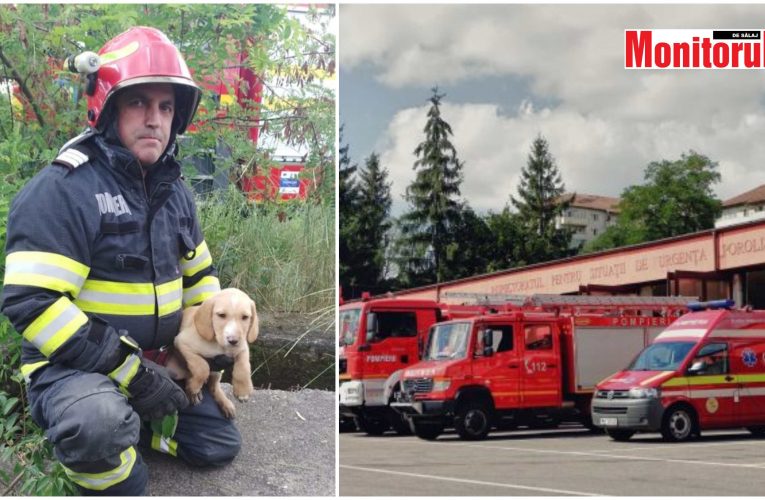 Un cățeluș năzdrăvan a fost salvat de pompieri