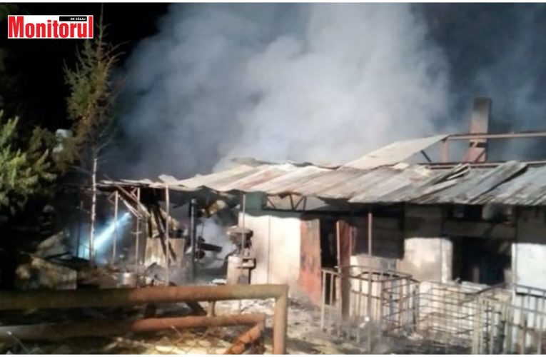 Incendiu de proporții la o gospodărie din localitatea Meseșenii de Jos