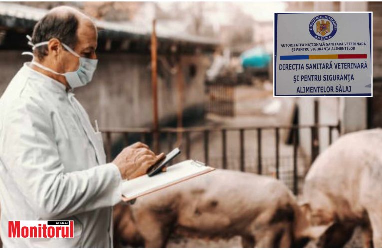 DSVSA acționează pentru combaterea Pestei porcine africane (PPA) în județul Sălaj