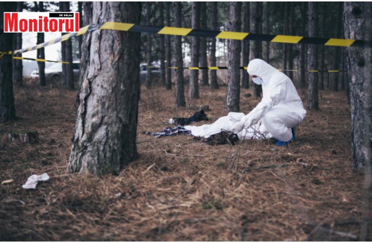 Cadavru descoperit pe un drum comunal din comuna Meseșenii de Jos